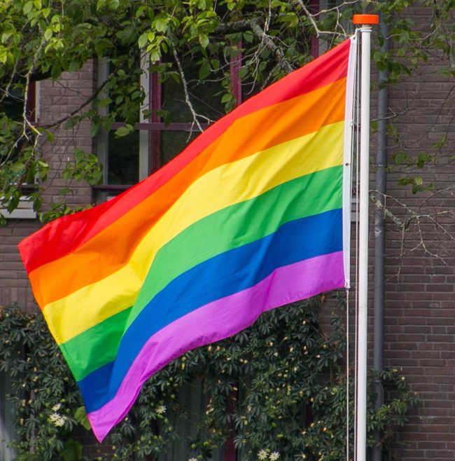 flagge